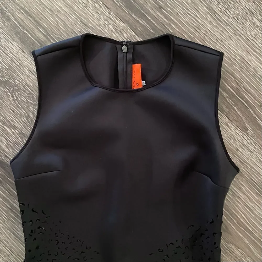 Clover Canyon dress
